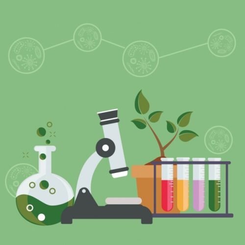 Ciclo Biogeoquímico: O Movimento Cíclico dos Elementos Químicos que Compõem os Seres Vivos e o Ambiente