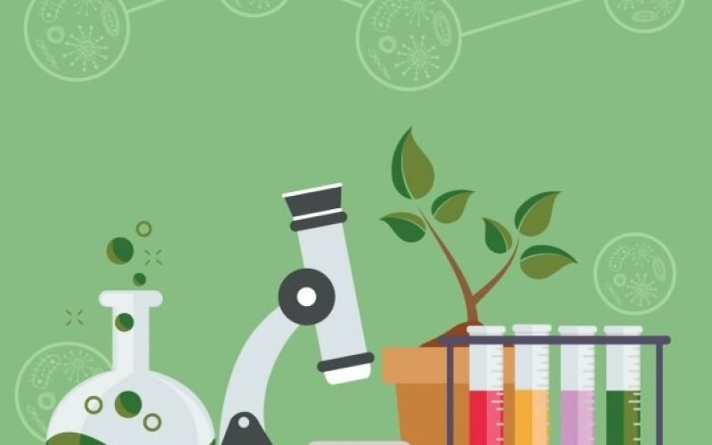 Ciclo Biogeoquímico: O Movimento Cíclico dos Elementos Químicos que Compõem os Seres Vivos e o Ambiente
