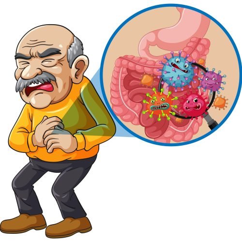 Cartoon illustration of an elderly man clutching his stomach, with a magnified view of harmful bacteria inside the intestines, vibrant colors, flat vector style
