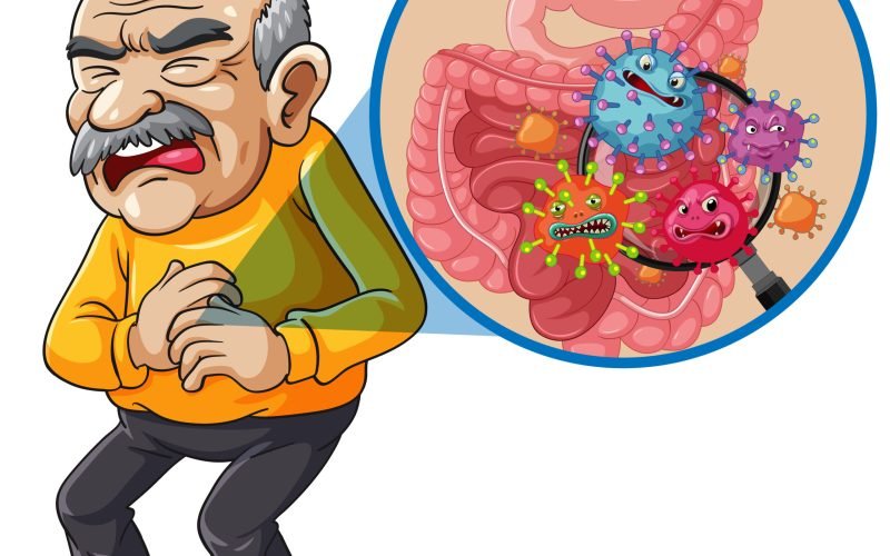 Cartoon illustration of an elderly man clutching his stomach, with a magnified view of harmful bacteria inside the intestines, vibrant colors, flat vector style